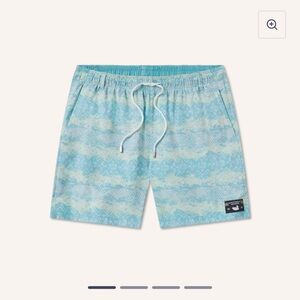 Southern Marsh Swim Trunks